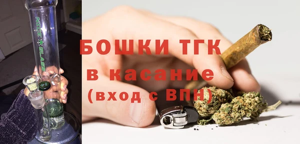 шишки Армянск