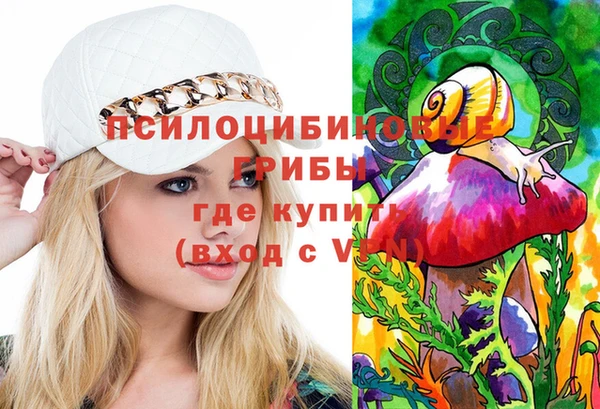 тгк Арсеньев