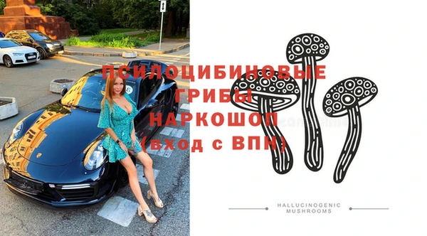 шишки Армянск