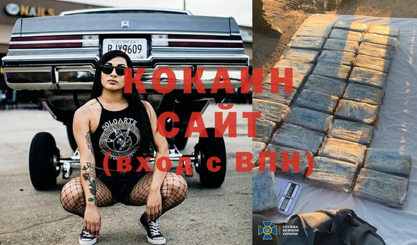 шишки Армянск