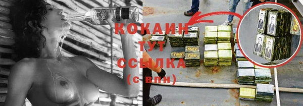 мяу мяу мука Аркадак
