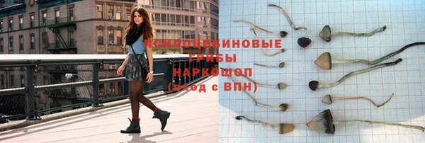 тгк Арсеньев