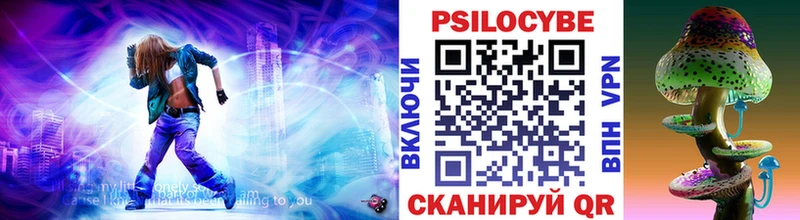 Псилоцибиновые грибы Psilocybe  Нязепетровск 